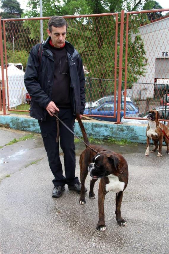 Izlozba pasa_Gospino polje 0