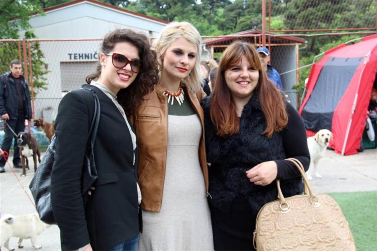 Izlozba pasa_Gospino polje 0