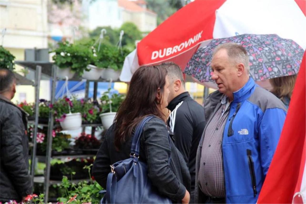 Sajam cvijeća-Gruž 0