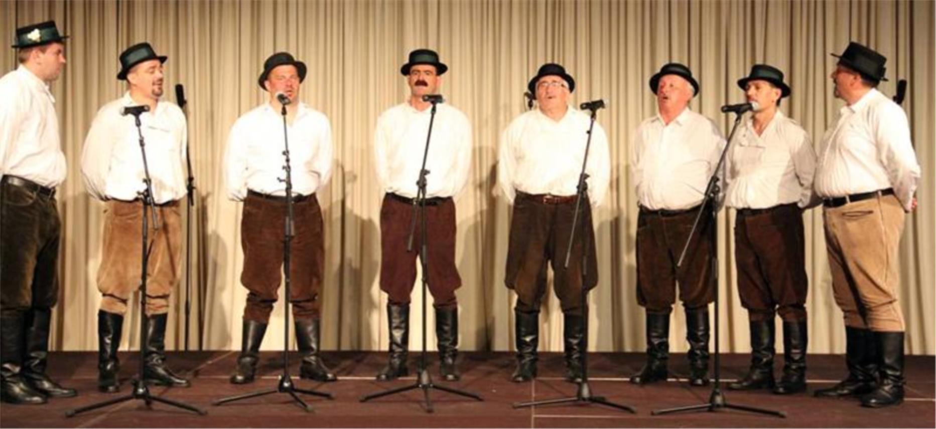 Srcem za Slavoniju 0