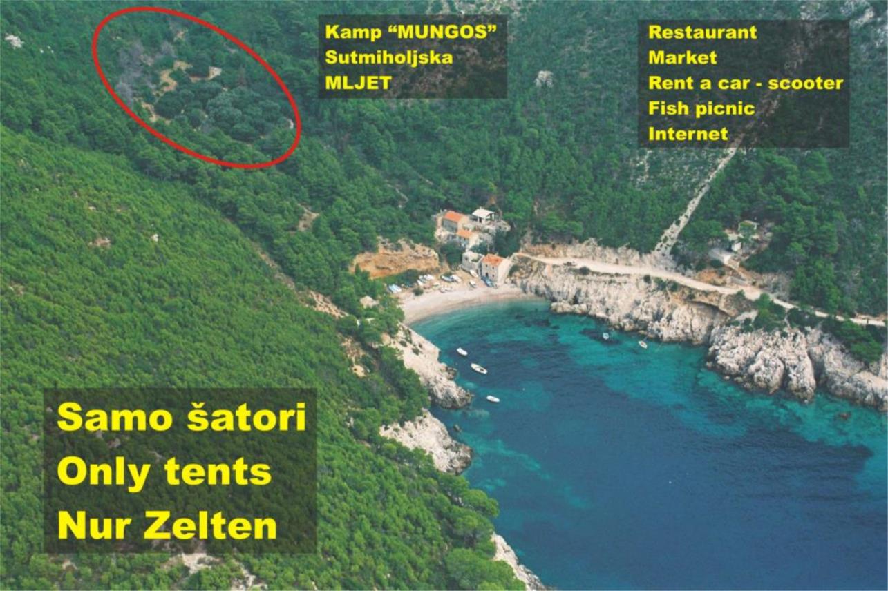 Mungos kamp