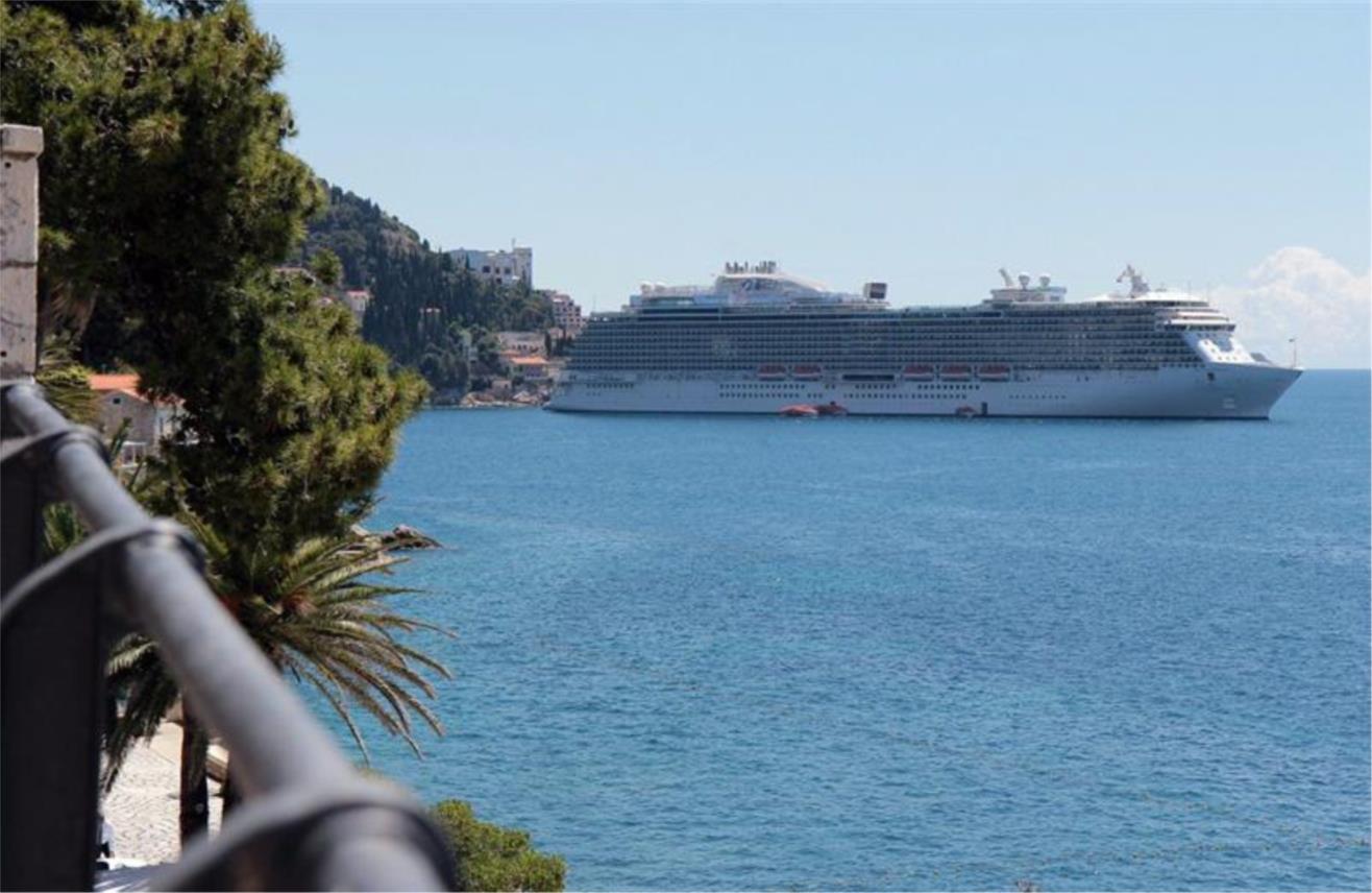 Regal Princess  0