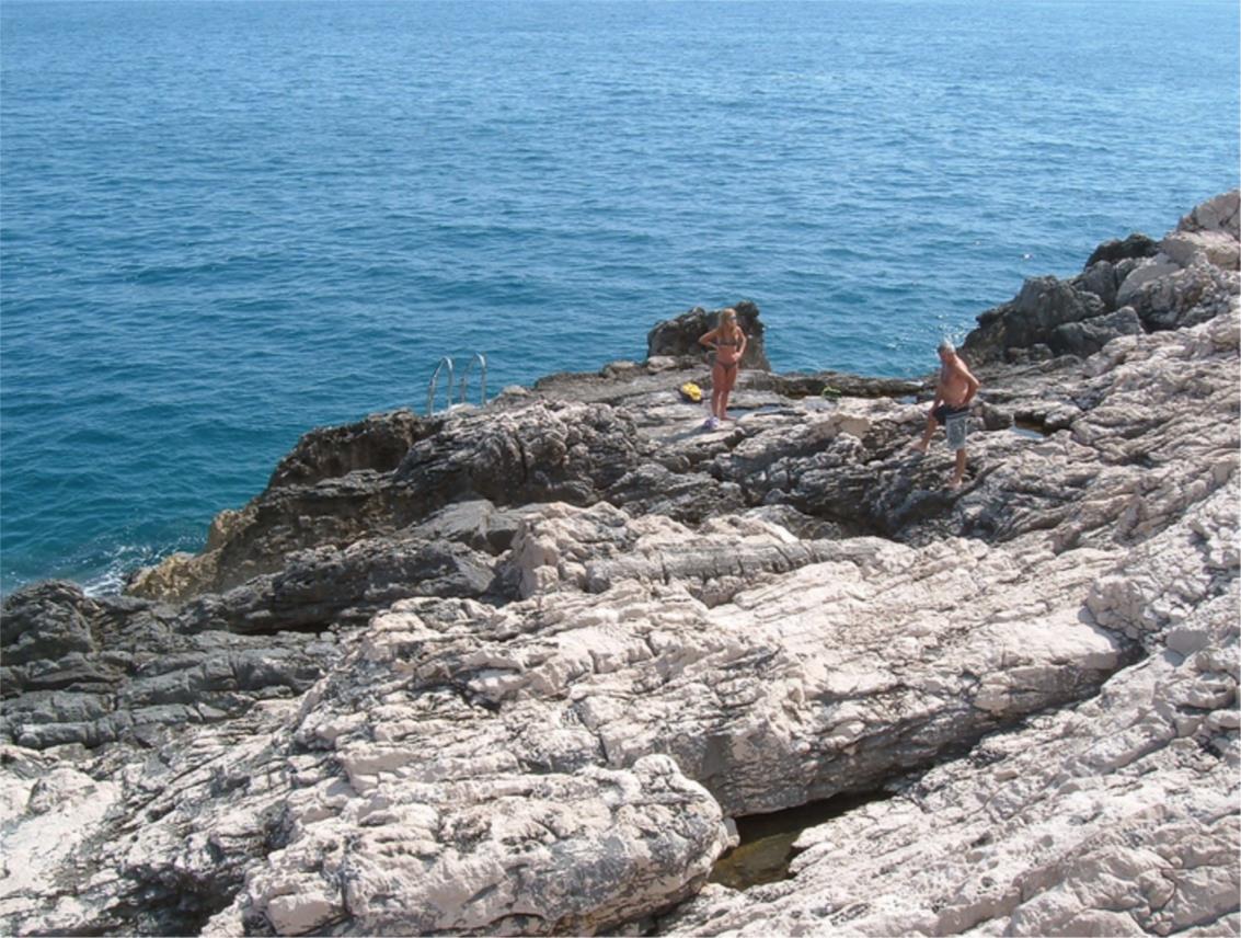 Ponta Gospa