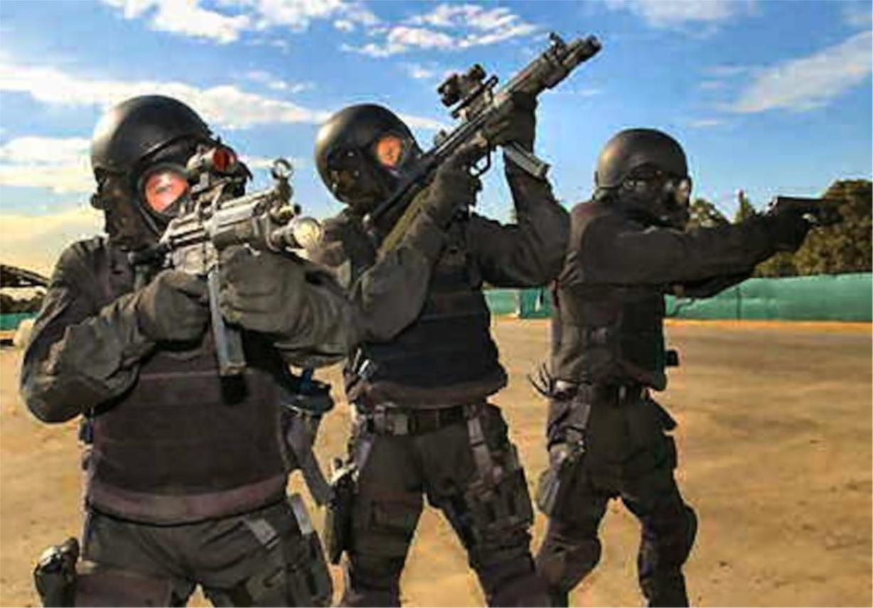 sas_promo1.jpg