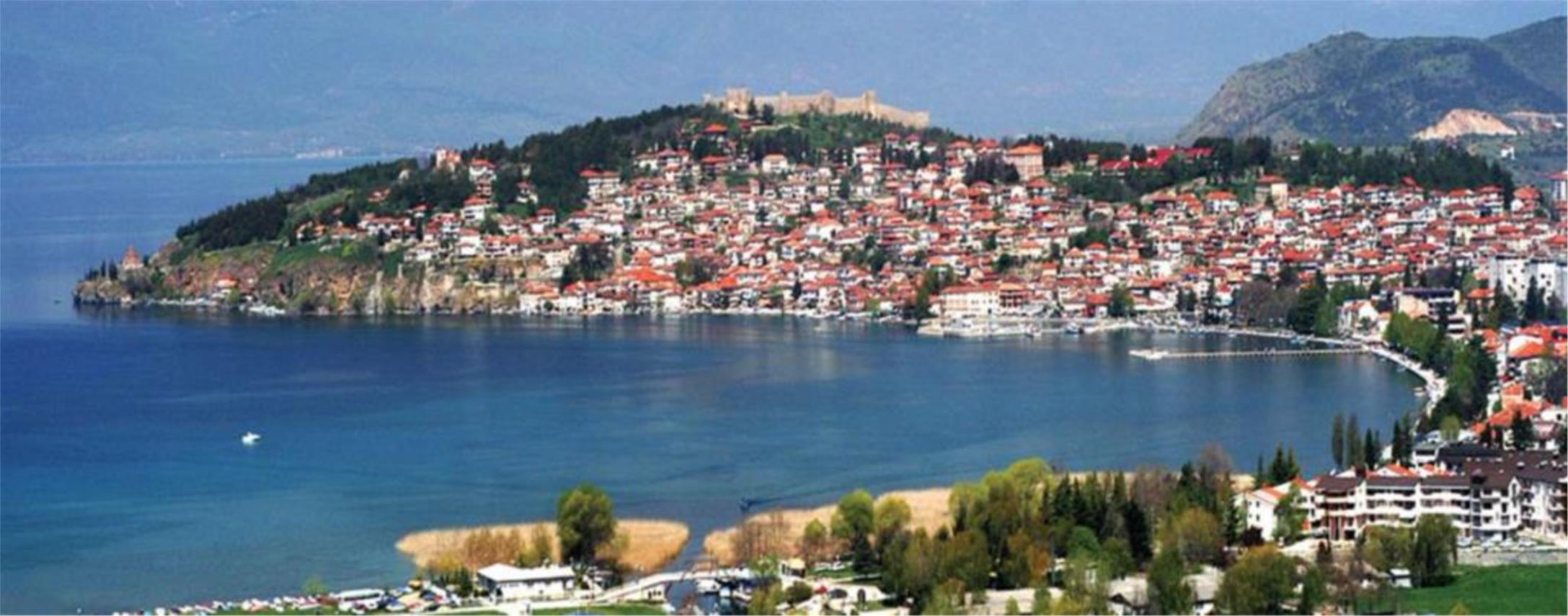 Orhid  0