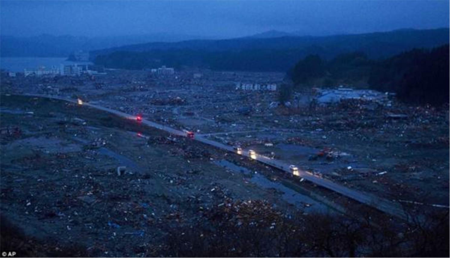 japan_rusevine_1.jpg