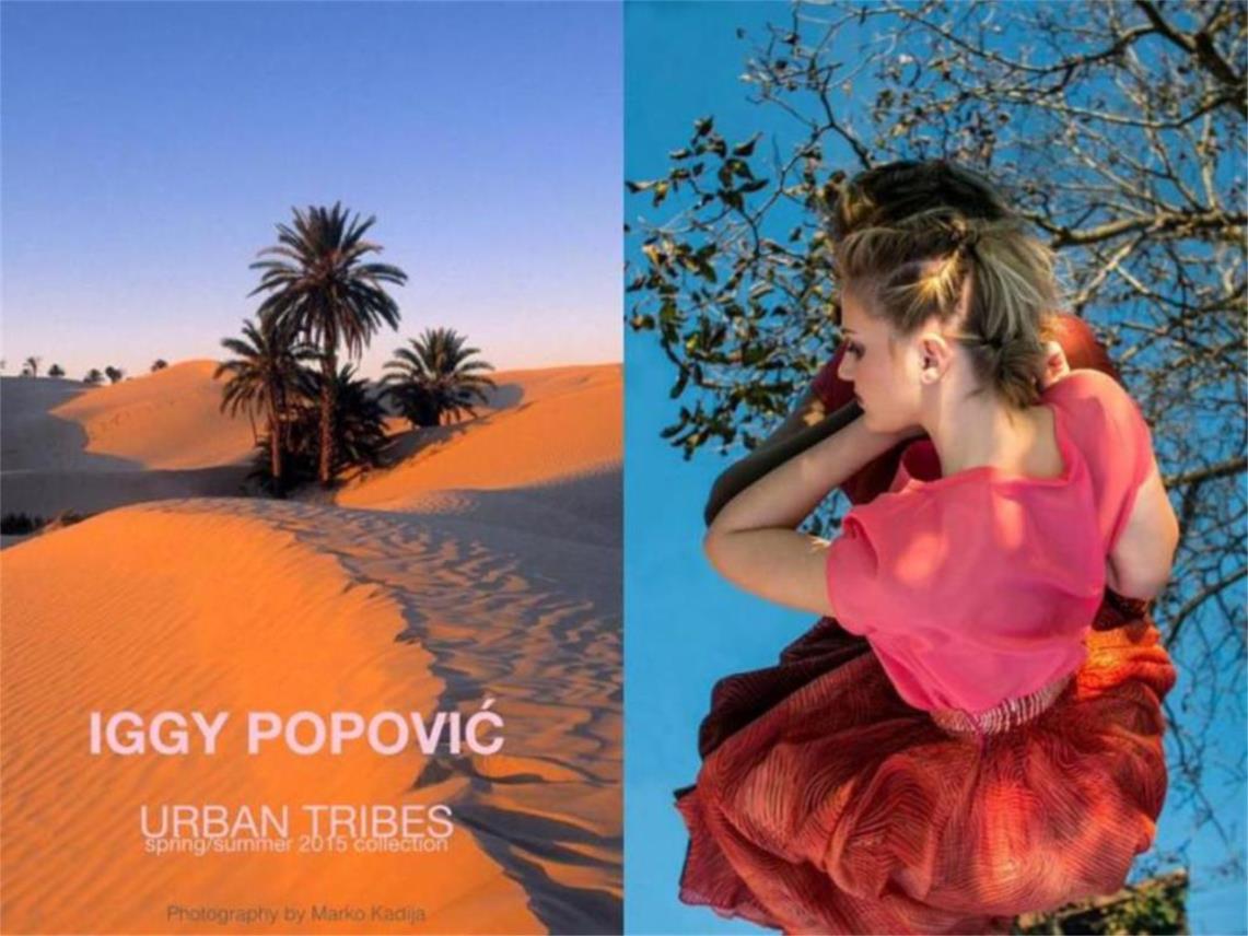 Iggy Popović  0