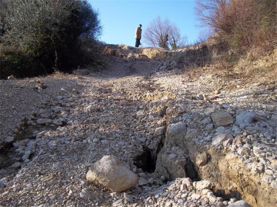 Cesta Rijeka dubrovačka  0