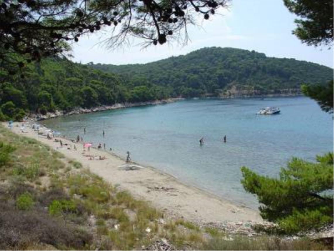 Saplunara