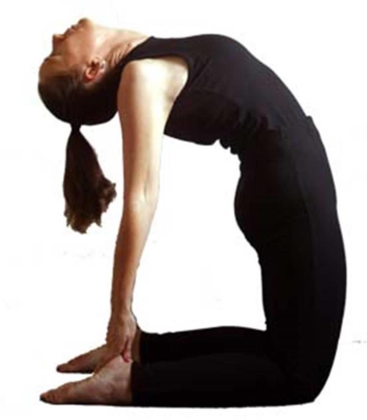 Joga 0