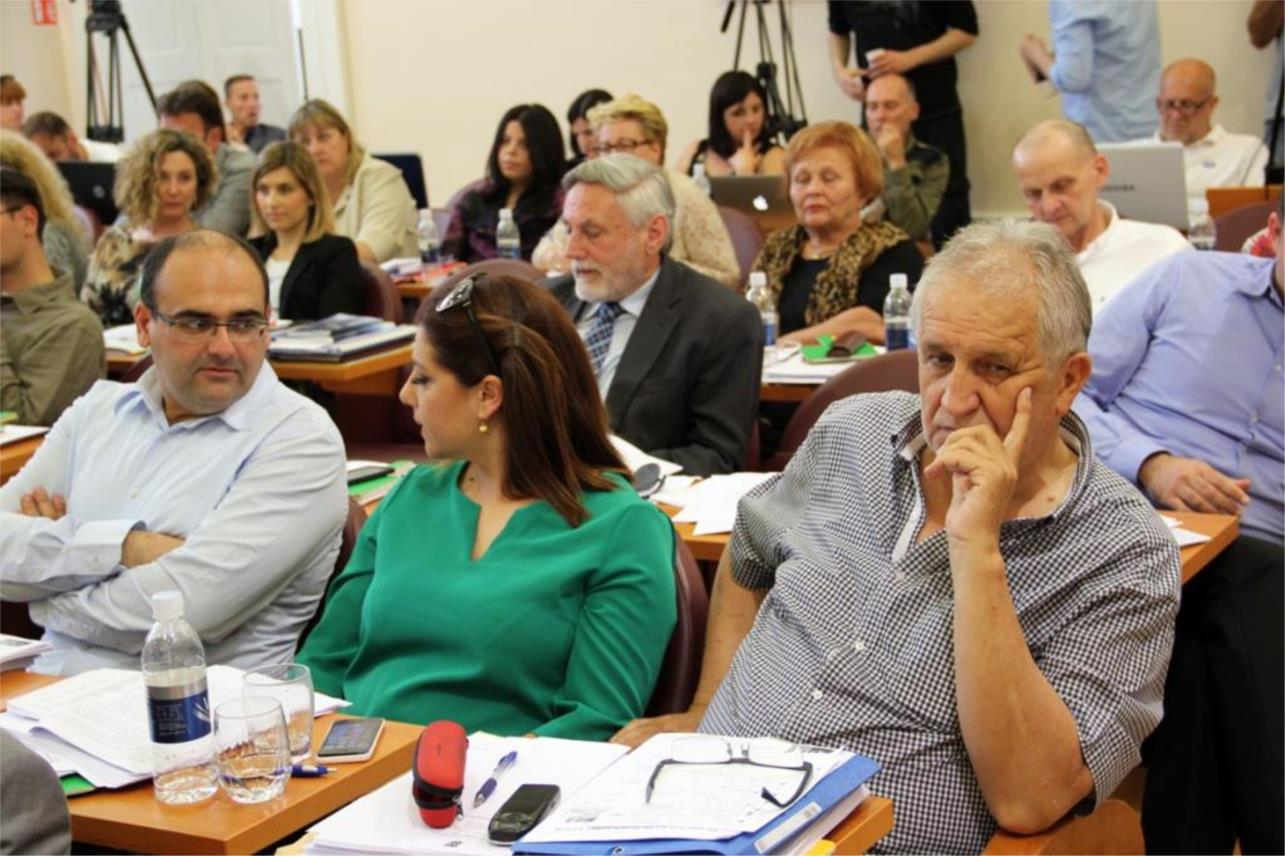 DDS_Vićan_Lepeš Matić