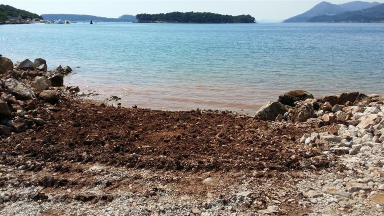 Mandrač plaža 0