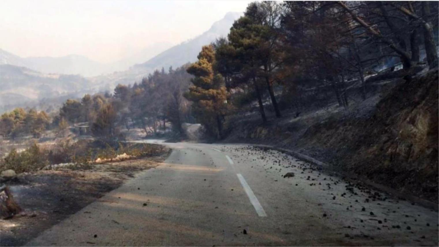 Požar na Pelješcu