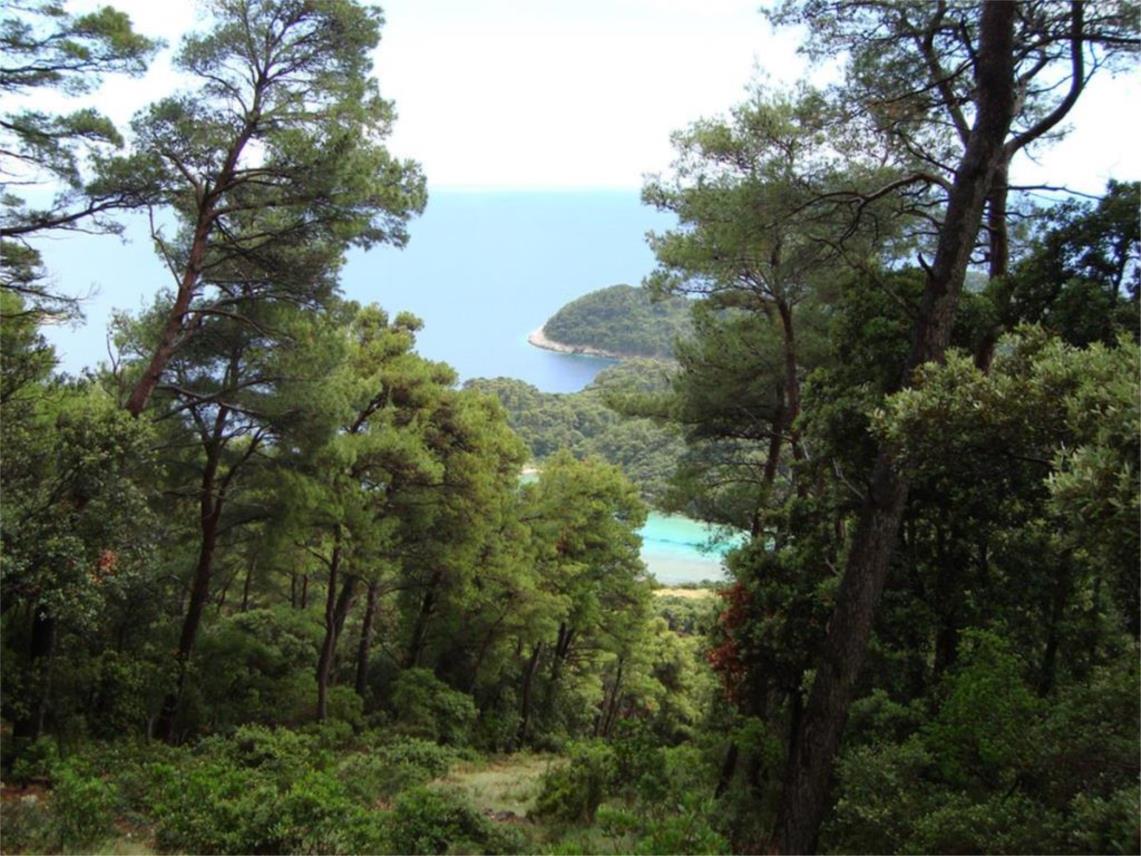 Mljet 0