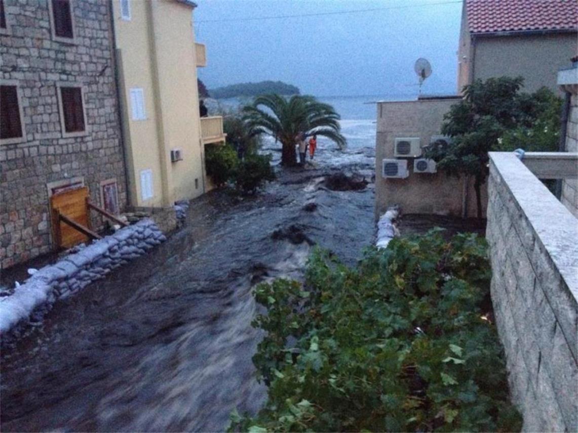 Trstenik 0