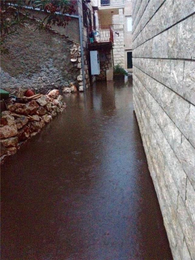 Trstenik 0