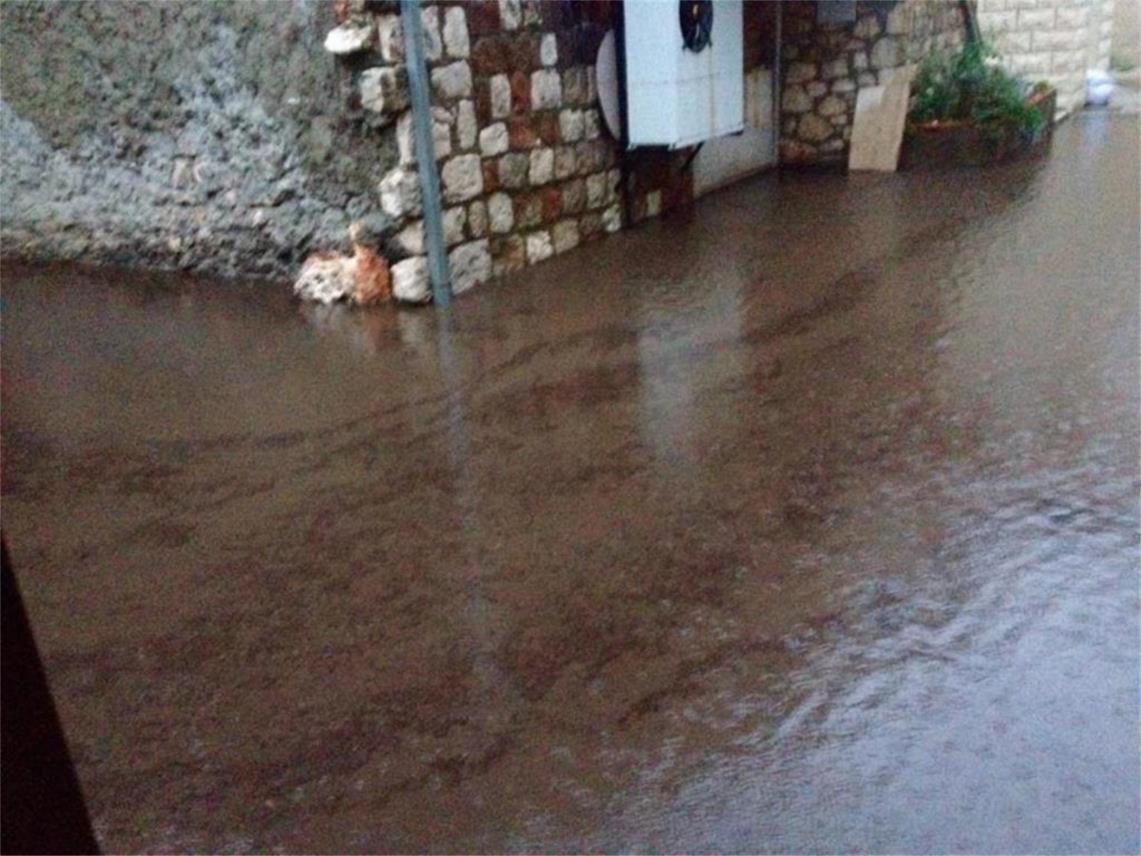 Trstenik 0