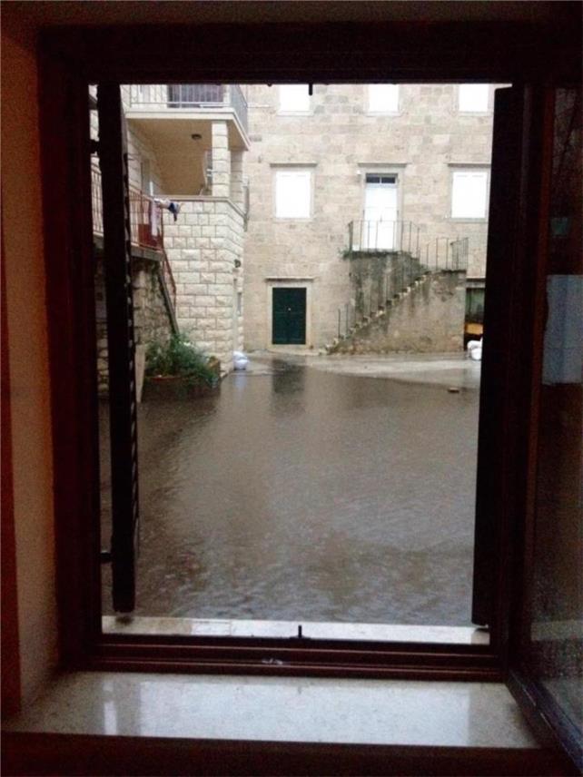 Trstenik 0