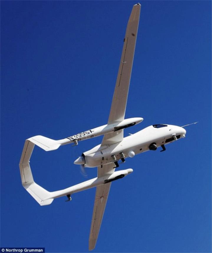 Avion