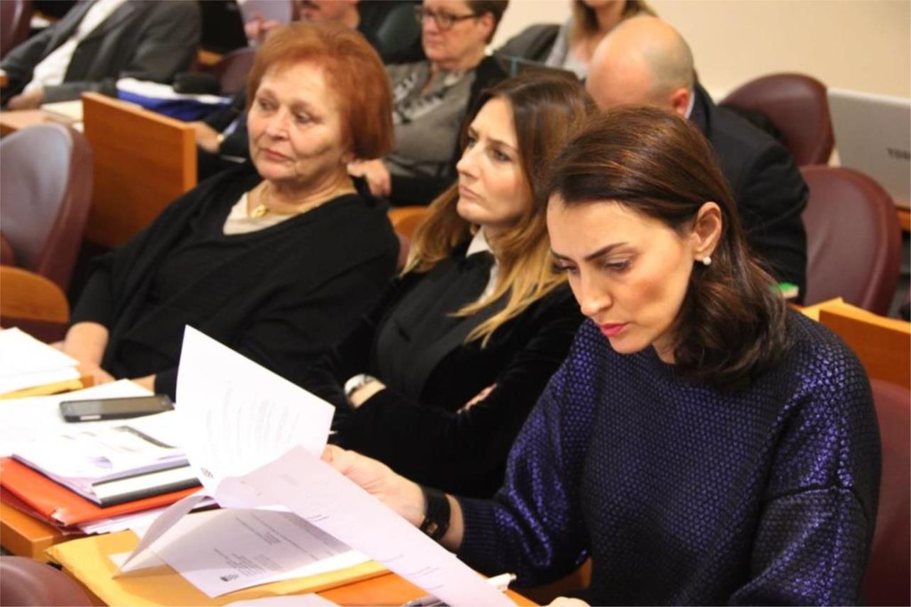 Gradsko vijeće 0