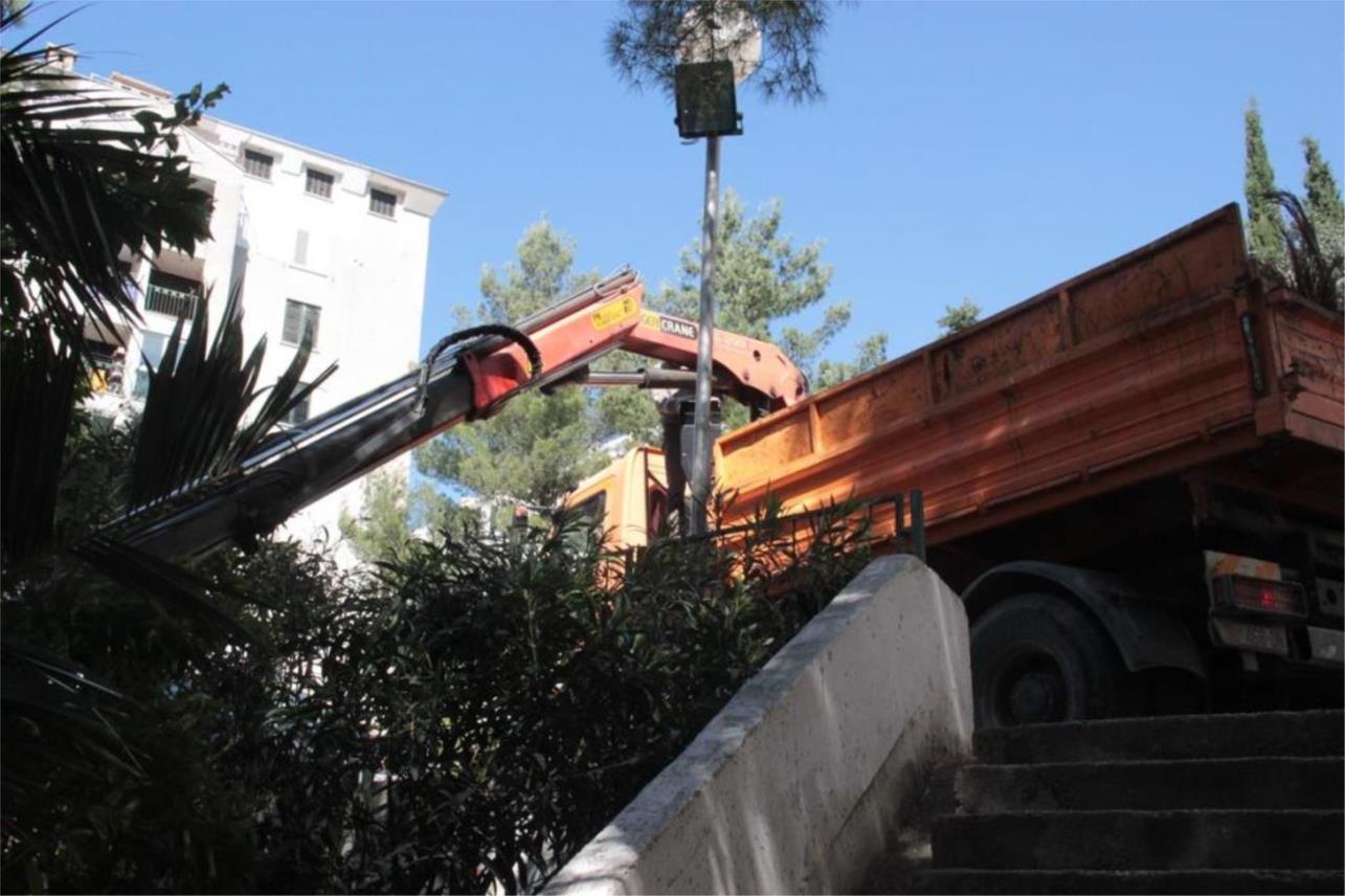 Sanacija palmine pipe 0