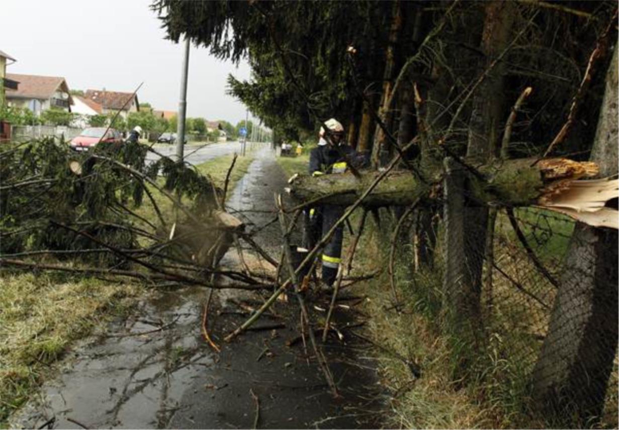 Nevrijeme rušilo drveće u koprivničkoj Podravini