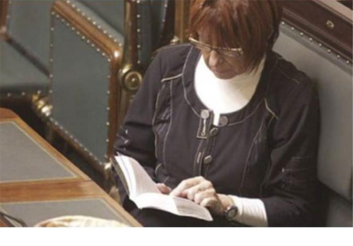Radno mjesto - Europski parlament