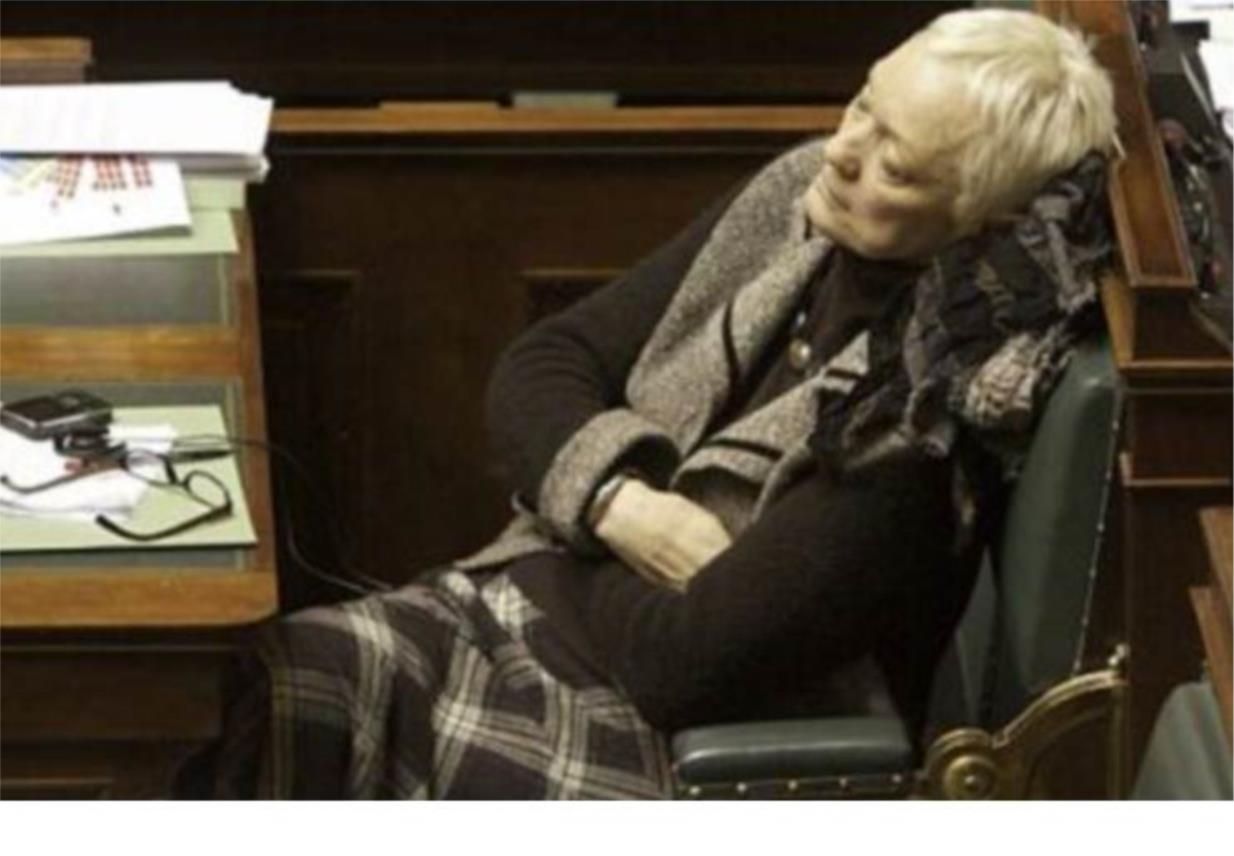 Radno mjesto - Europski parlament
