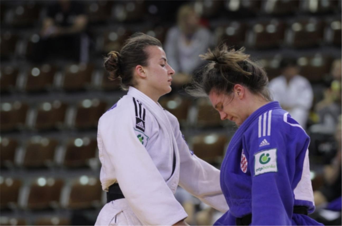 Europski judo kup