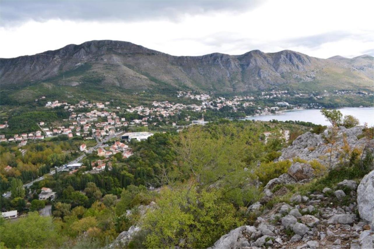 istraživanje 0