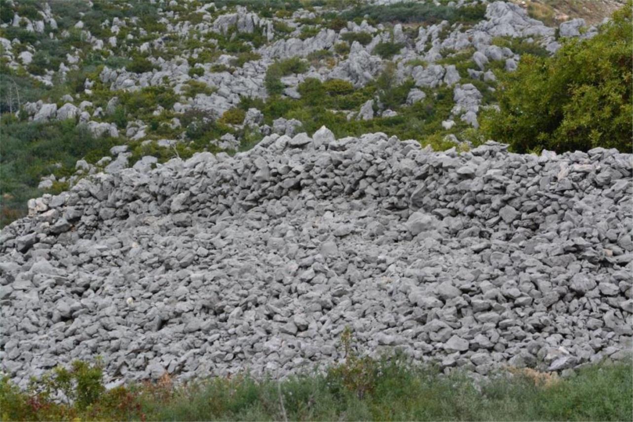 istraživanje 0