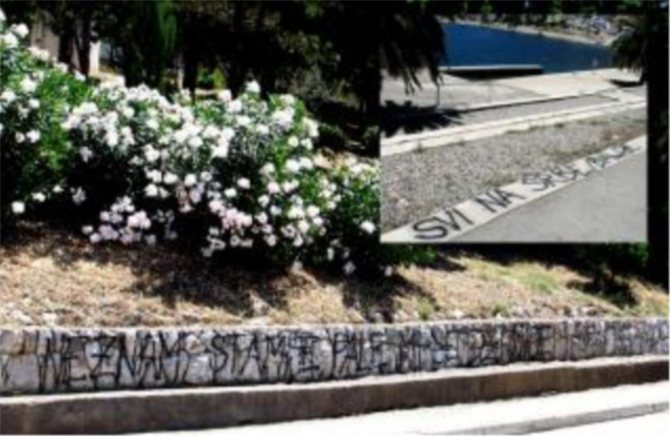 grafiti_neum