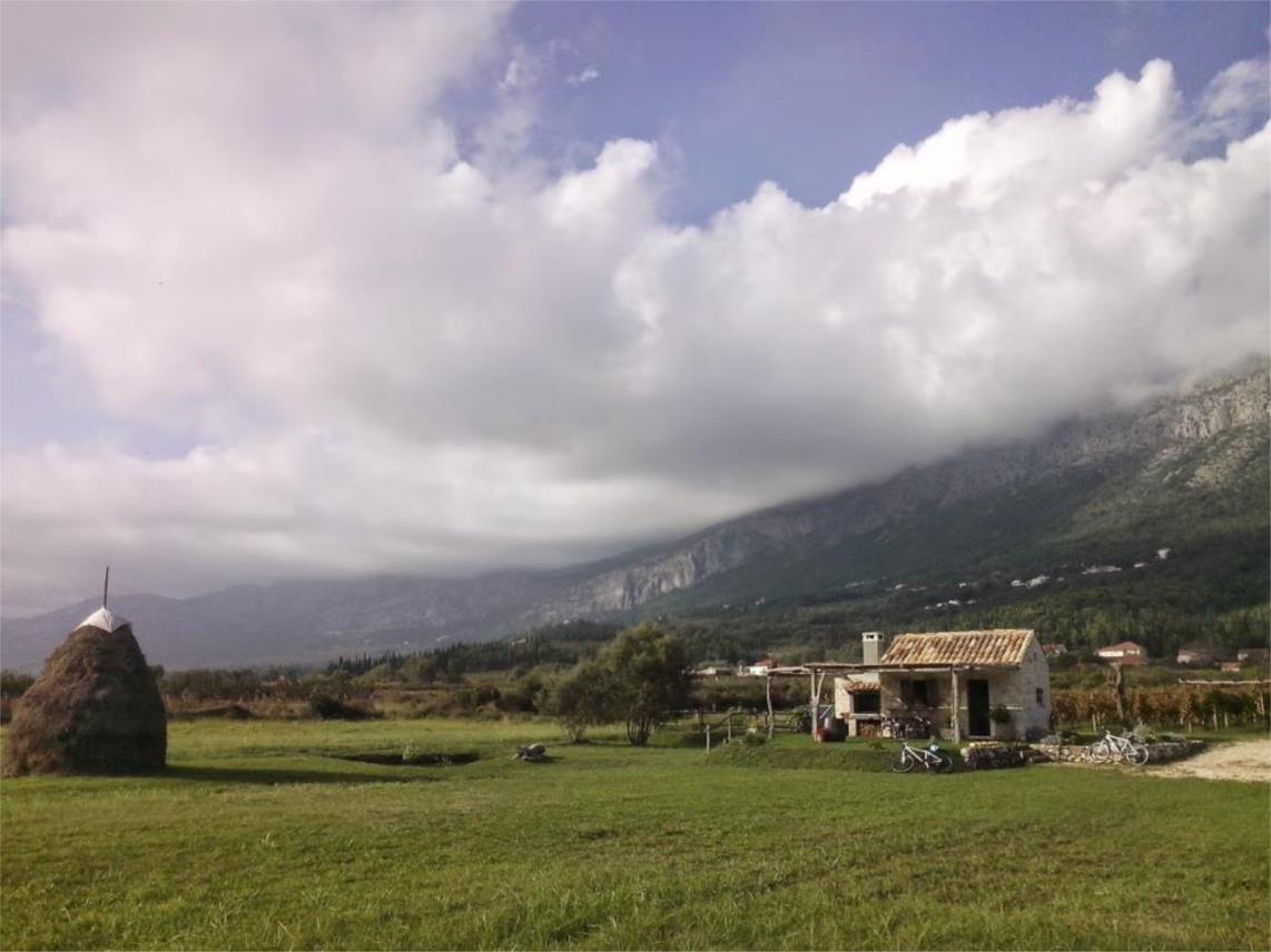 konavle pod zvijezdama