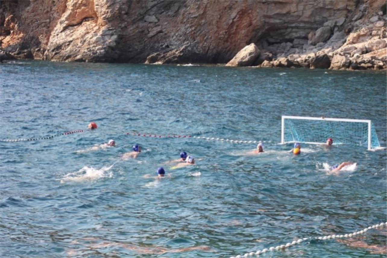 divlja liga