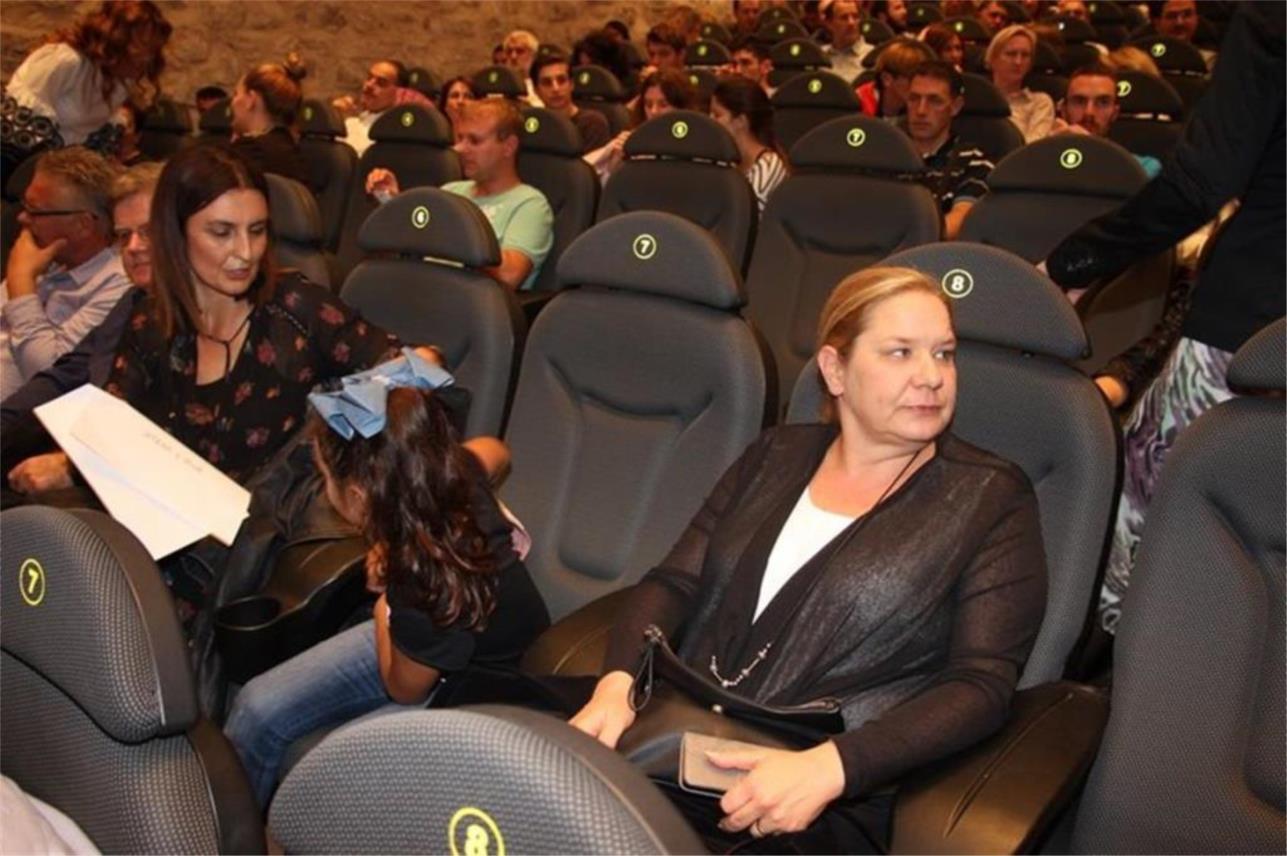 Predavanje prof. Đikića 0
