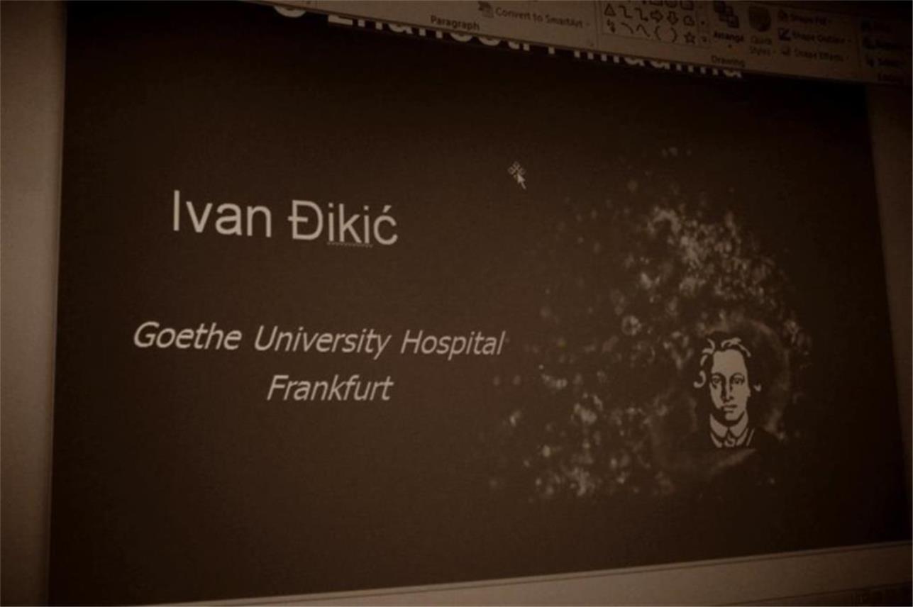 Predavanje prof. Đikića 0