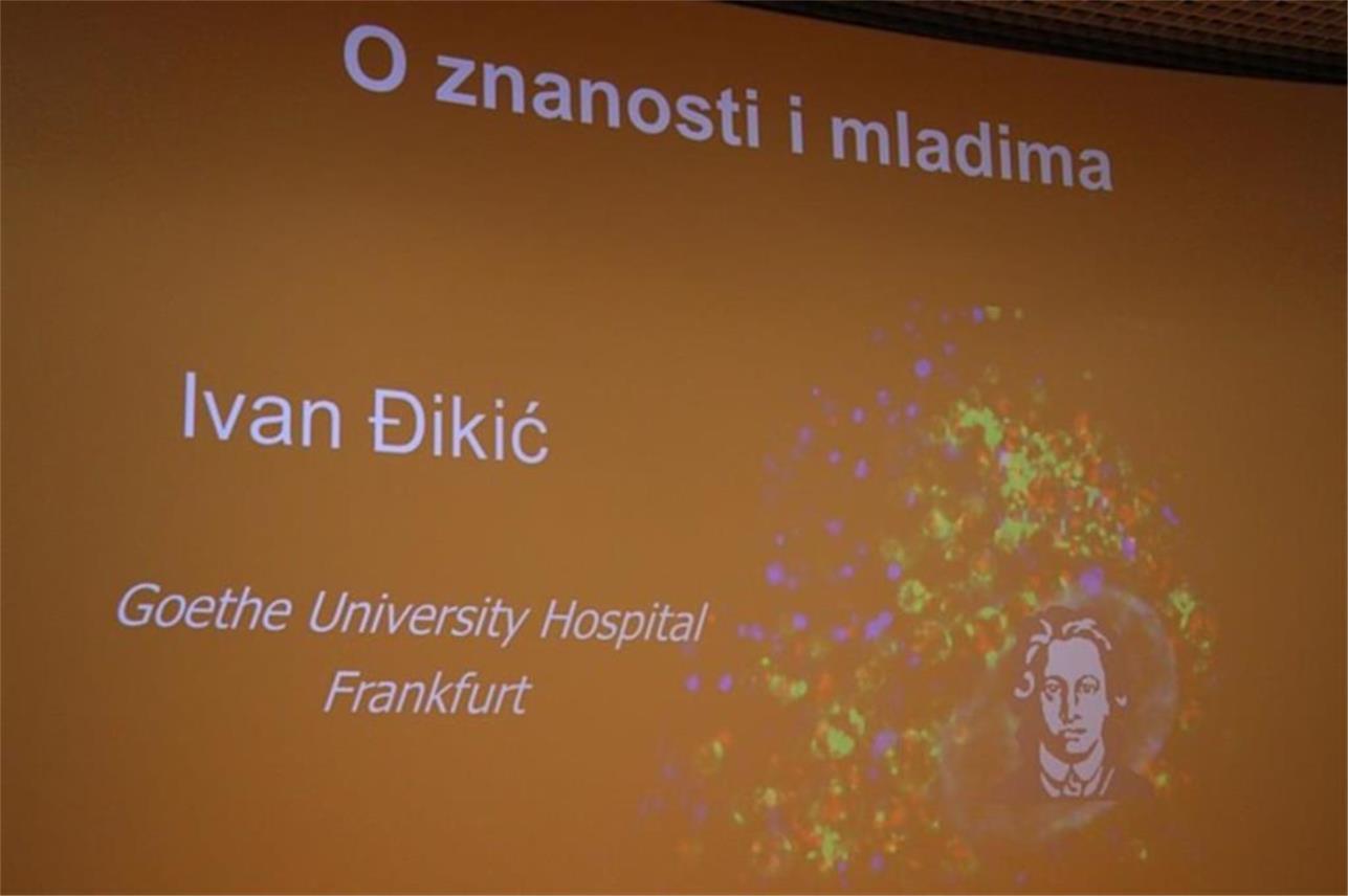 Predavanje prof. Đikića 0