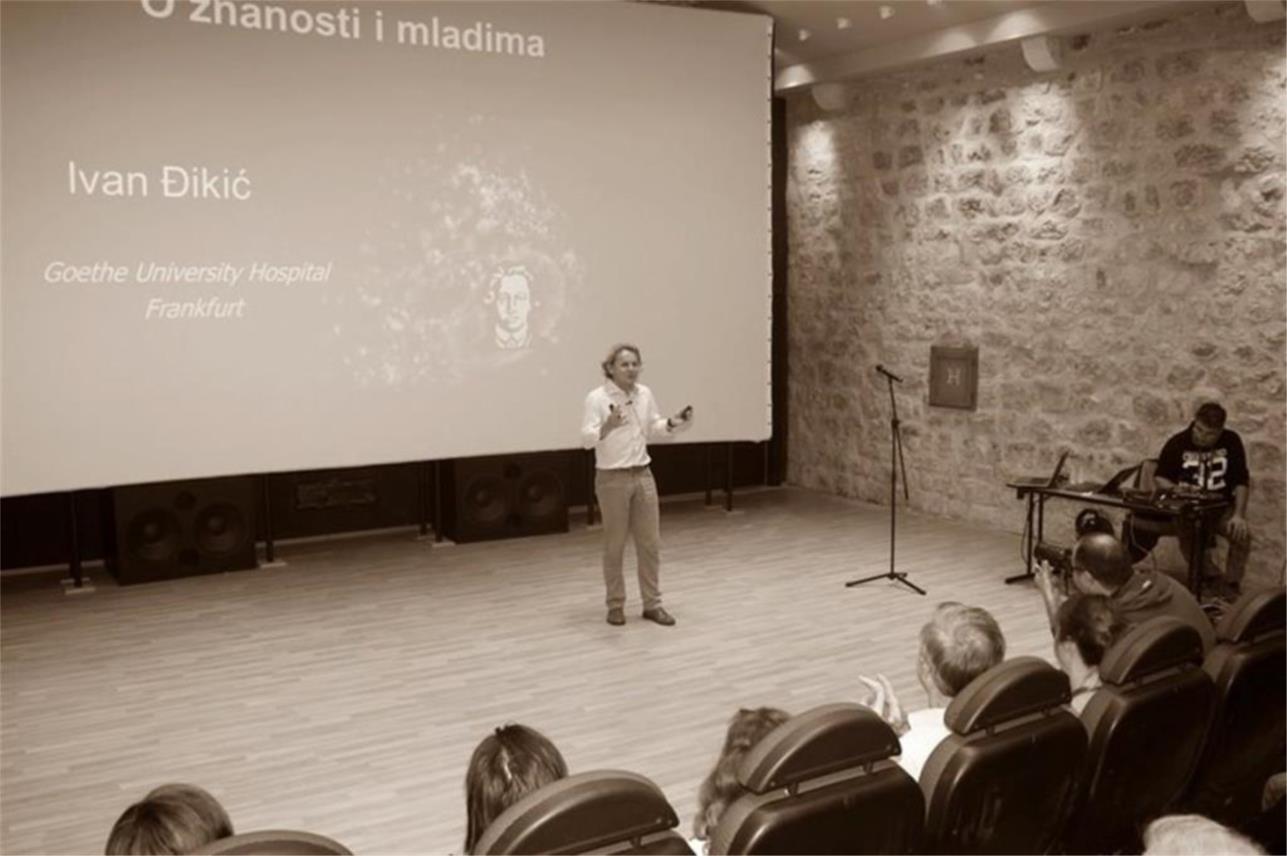 Predavanje prof. Đikića 0