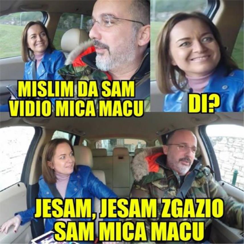 društvene mreže Cetinski