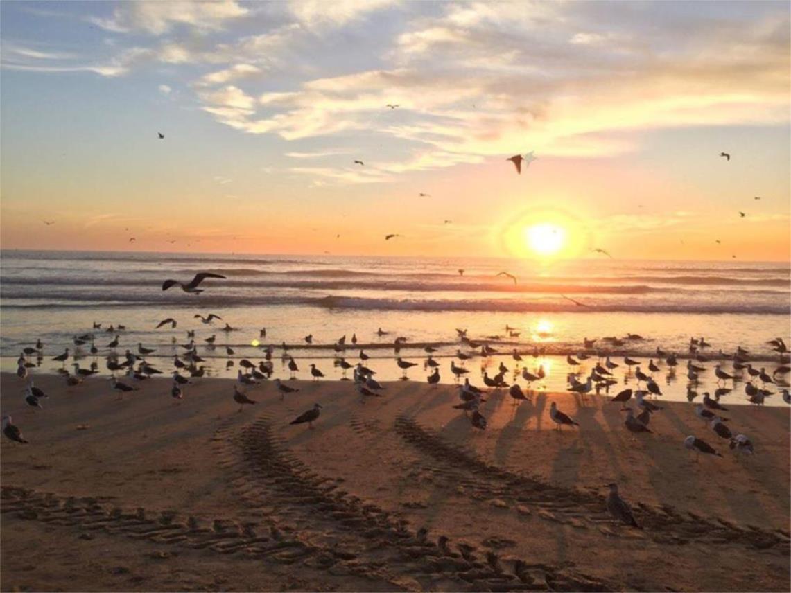 Caparica