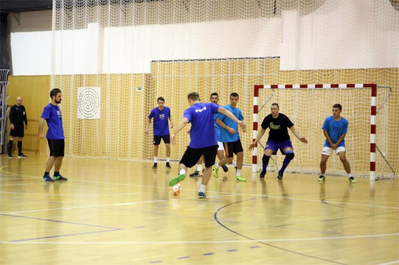 Palčičevih 8-Izvještaj  0