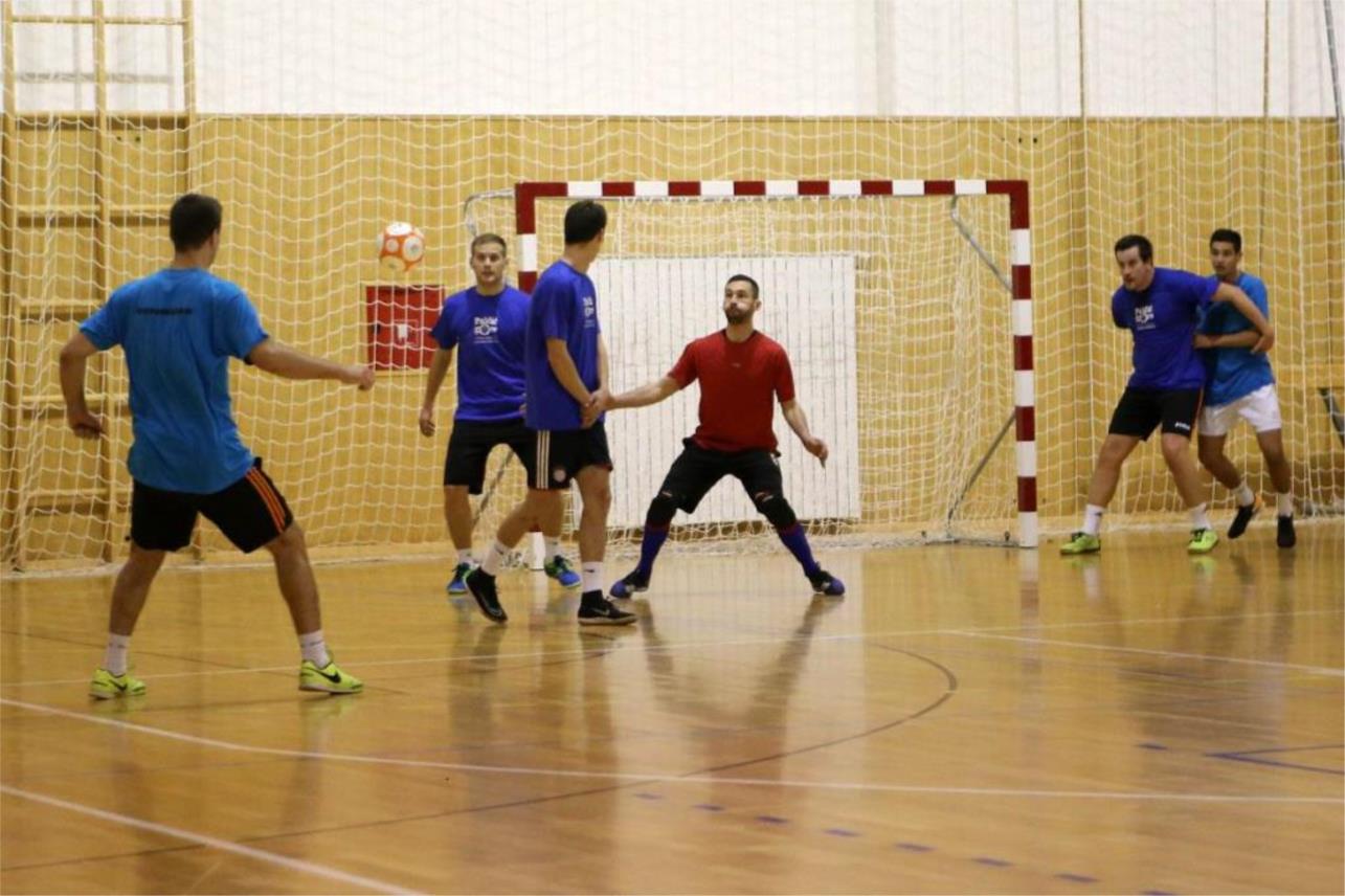 Palčičevih 8-Izvještaj  0