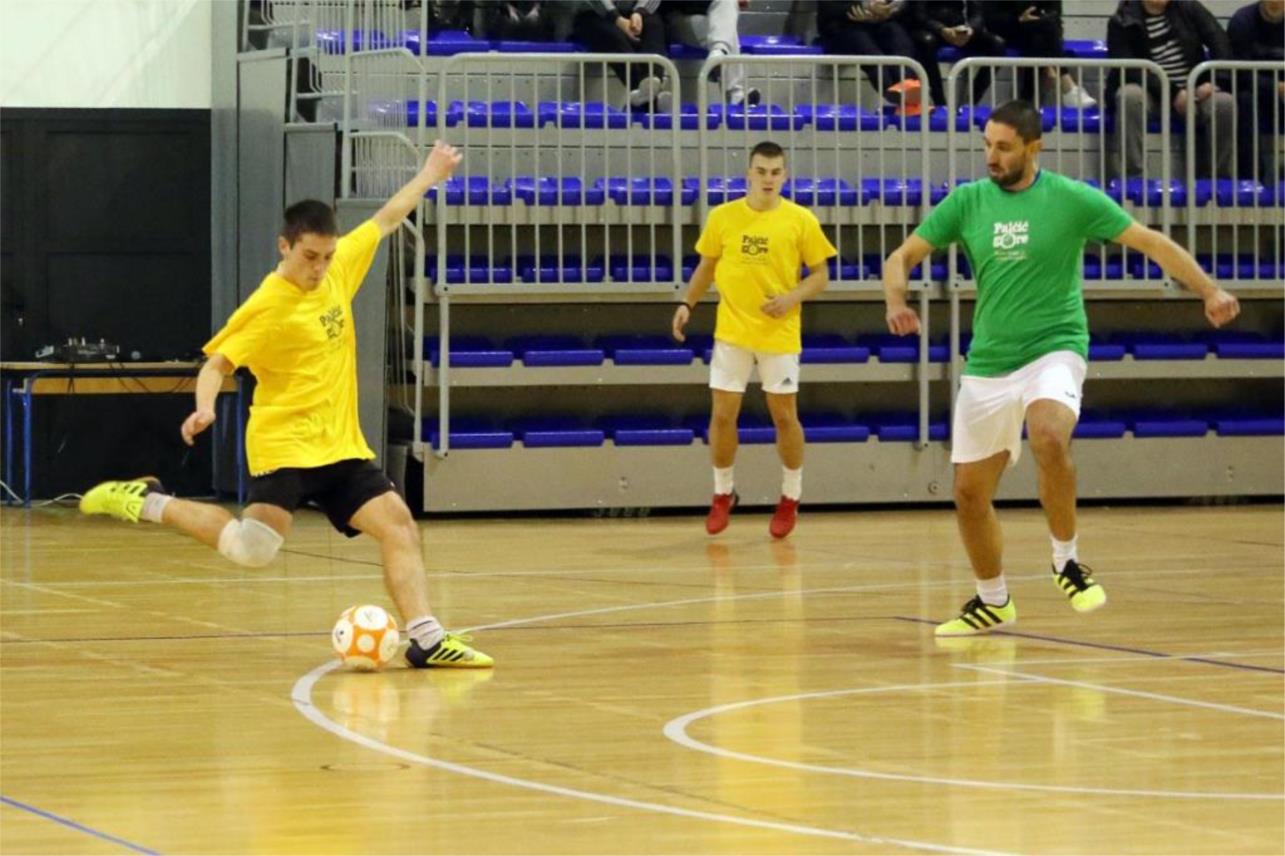 Palčičevih 8-Izvještaj  0