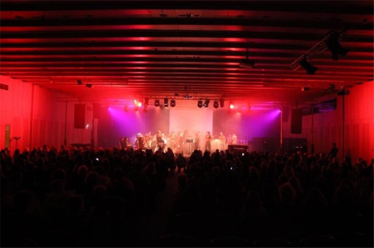 The Beatles Revival Orchestra  0