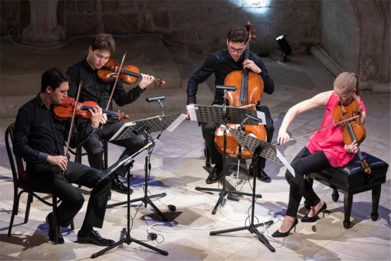Atrij kneževa dvora, koncert