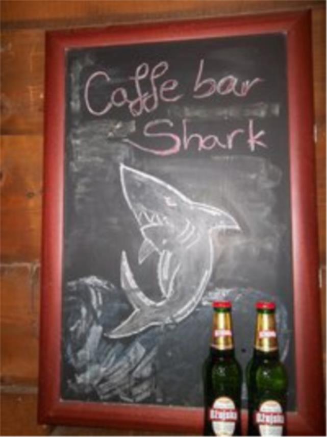 shark