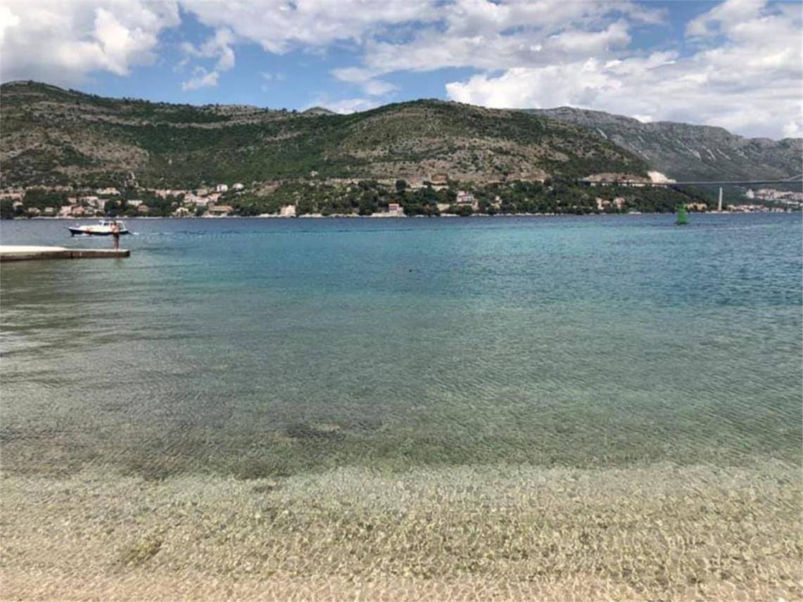 Morski pas na Copacabani 0