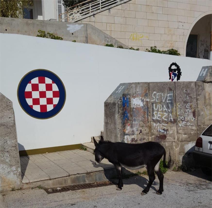 Magarac u điru Mokošicom odao počast Torcidinom grbu