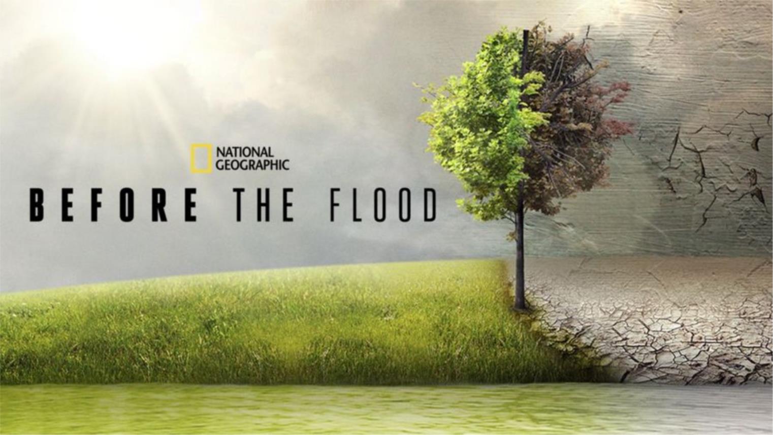 before the flood