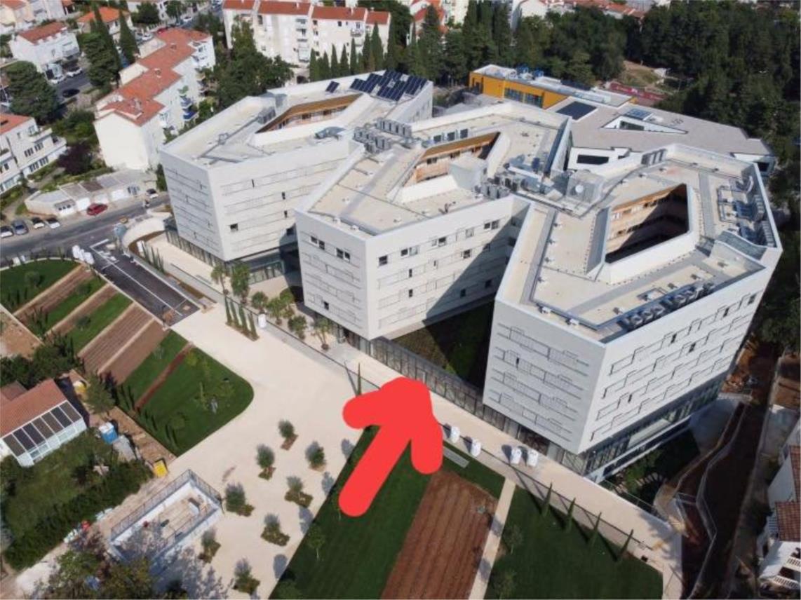 Academia 